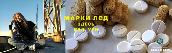 спиды Гвардейск