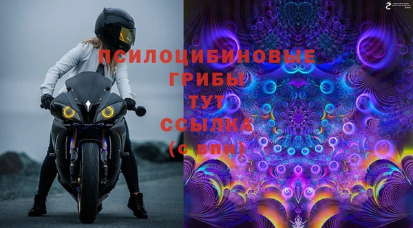 СК Нефтекумск