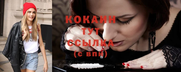 дурь Новодвинск