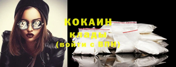 дурь Новодвинск