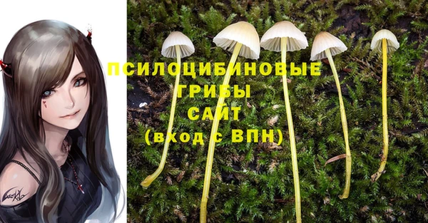 СК Нефтекумск