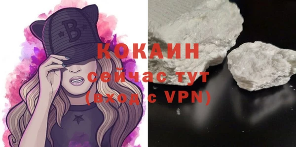 дурь Нея