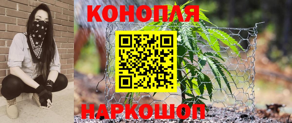 Бошки Шишки Amnesia Истра